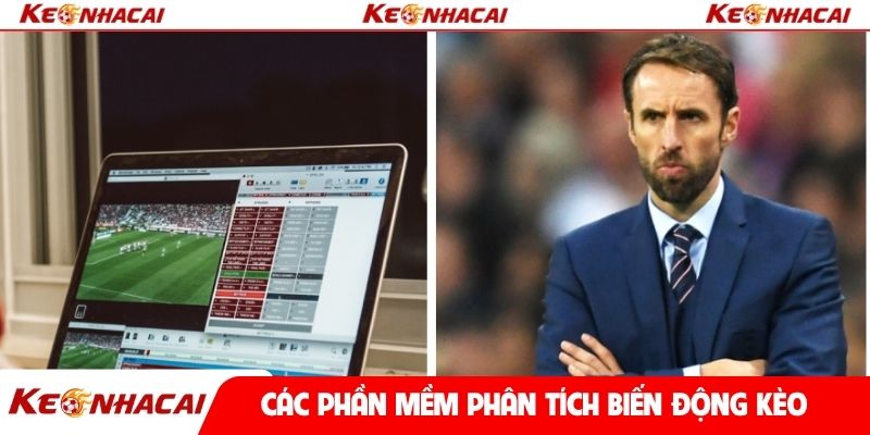 Các phần mềm phân tích biến động kèo