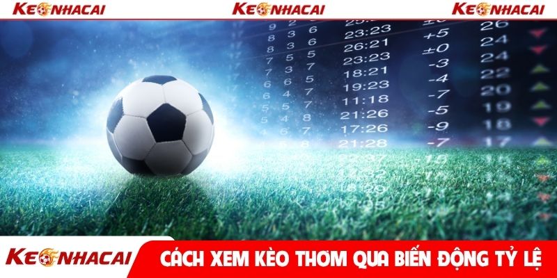 Cách xem kèo thơm qua biến động tỷ lệ