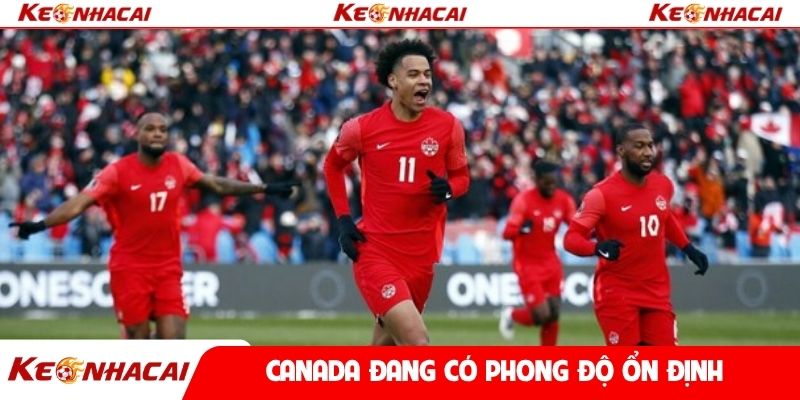Canada đang có phong độ ổn định
