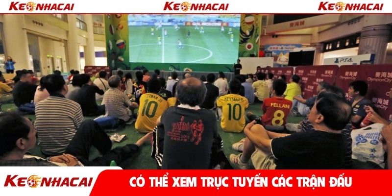 Có thể xem trực tuyến các trận đấu