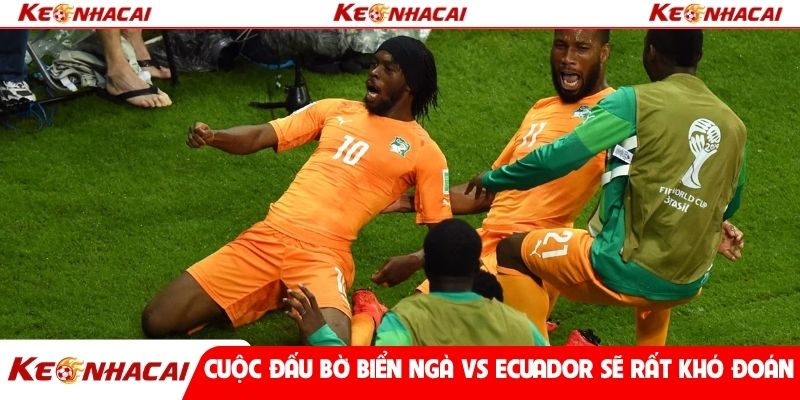 Cuộc đấu Bờ Biển Ngà vs Ecuador sẽ rất khó đoán