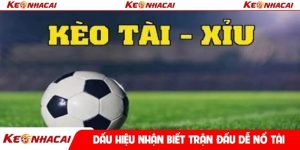 Dấu hiệu nhận biết trận đấu dễ nổ Tài