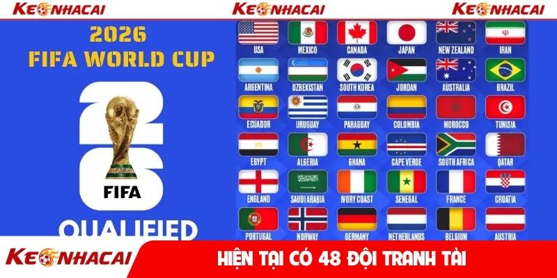 Hiện tại có 48 đội tranh tài
