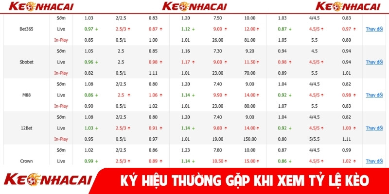Ký hiệu thường gặp khi xem tỷ lệ kèo