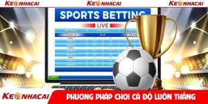 Phương pháp chơi cá độ luôn thắng