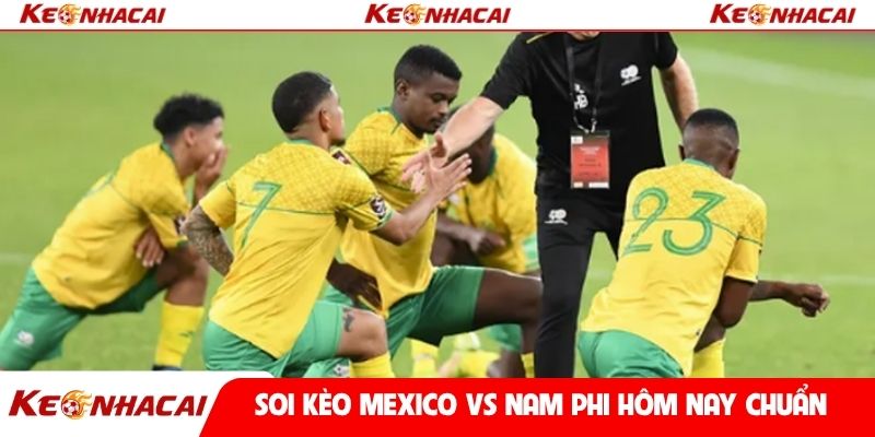 Soi kèo Mexico vs Nam Phi hôm nay chuẩn