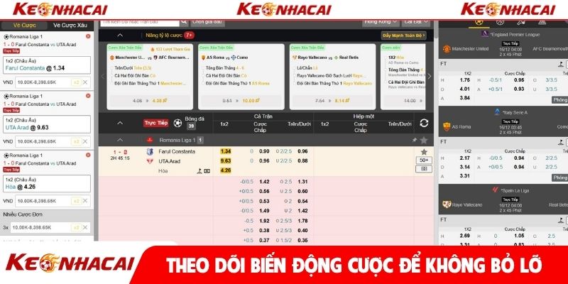 Theo dõi biến động cược để không bỏ lỡ thông tin
