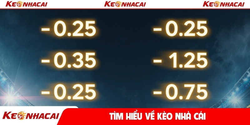Tìm hiểu về kèo nhà cái