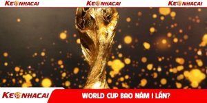 World Cup bao năm 1 lần