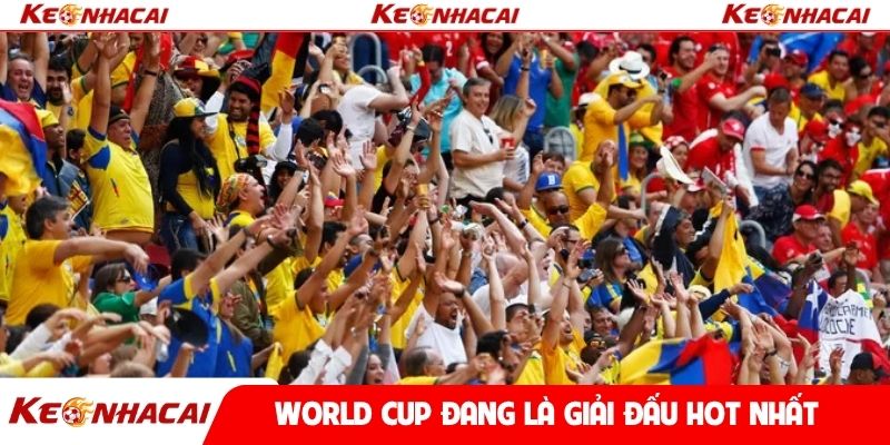 World cup đang là giải đấu HOT nhất